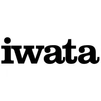 Sert Airbrushing Iwata Silver Neo