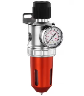 Depuratore Filtro Regolatore 479 Sagola (-45%)