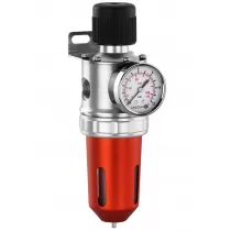 Depuratore Filtro Regolatore 479 Sagola (-45%)