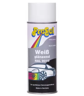 Automotive Gloss White Spray Paint