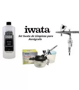 Set Iwata Limpieza Aerógrafo