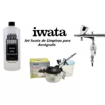 Set Iwata Limpieza Aerógrafo