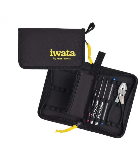 Kit Riparazione / Manutenzione Aerografo Iwata