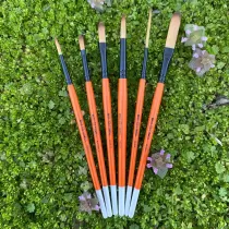 Set Pinceles Mack Tidwell Foxy Tail
