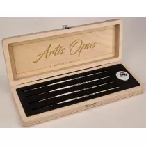 Artis Opus Series S Brush Case
