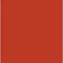 Pintura Bicapa Formulación  RAL (1L)
