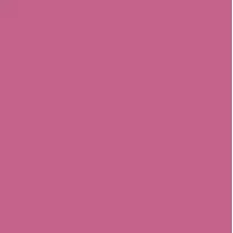 Two-coat Paint RAL Formulation (1L)
