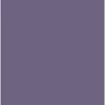 Pintura Bicapa Formulación  RAL (1L)
