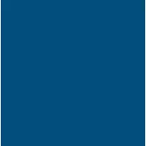 Pintura Bicapa Formulación  RAL (1L)
