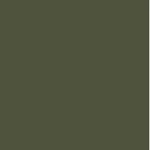 Pintura Bicapa Formulación  RAL (1L)