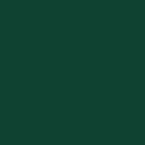 Pintura Bicapa Formulación  RAL (1L)