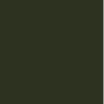 Peinture Bicouche Formulation RAL (1L)