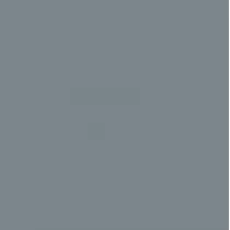 Pintura Bicapa Formulación  RAL (1L)