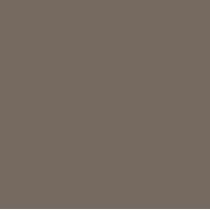 Pintura Bicapa Formulación  RAL (1L)