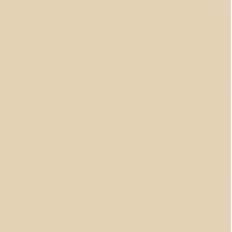 Pintura Bicapa RAL (1L)