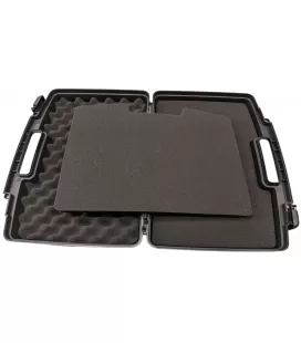 Small Pistol Case