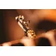 Aerografo Harder & Steenbeck CR Plus 2024 - 2 in 1