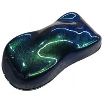 Spray Paint Chameleon RCN