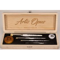 Artis Opus Series D Brush Case