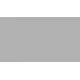 Paint Topcoat 2K Multiadherente Satin (1L + Cat.)