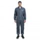Mono Pintor Premium Iwata - L