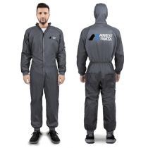 Mono Pintor Premium Iwata - L