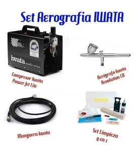 Set Aerografia Iwata Erweitert