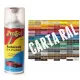 Vernice spray 2K RAL BRILLIANT