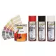 Rost- und Farbkonverterspray 3 in 1