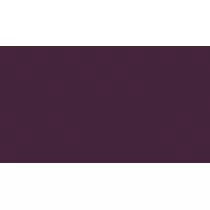 Paint Topcoat 2K Multiadherente Satin (1L + Cat.)