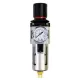 Filtre à Air avec indicateur de pression Sagola FR302 (1/4H - BSP)