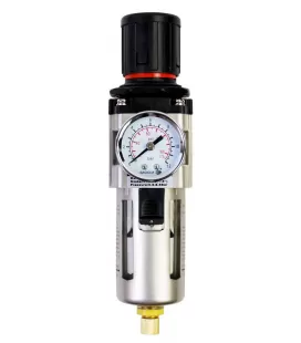 Filtro de Aire con Manómetro Sagola FR302 (1/4H - BSP)