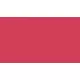 Paint Topcoat 2K Multiadherente Satin (1L + Cat.)