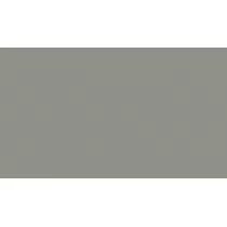 Pintura Monocapa 2K Multiadherente Satinado (1L + Cat.)