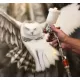 Gun touch up 475 of Sagola - 1.0 mm (-45%)