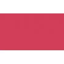 Vernice 2K Monostrato Satinata Multiaderente (1L + Cat.)