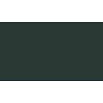 Vernice 2K Monostrato Satinata Multiaderente (1L + Cat.)