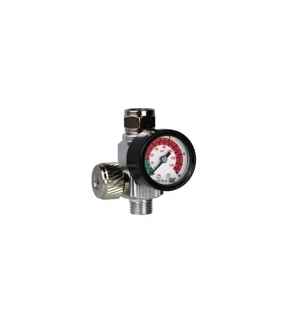 Misuratore Regolatore di Sagola RC2