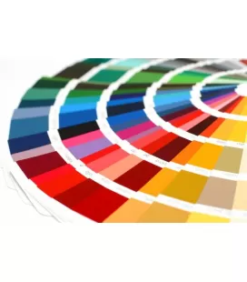 Pintura Monocapa 2K Multiadherente Satinado (1L + Cat.)