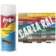 Spray Pintura Acrílica RAL