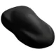 Peinture Anti-chaleur Noire 800º