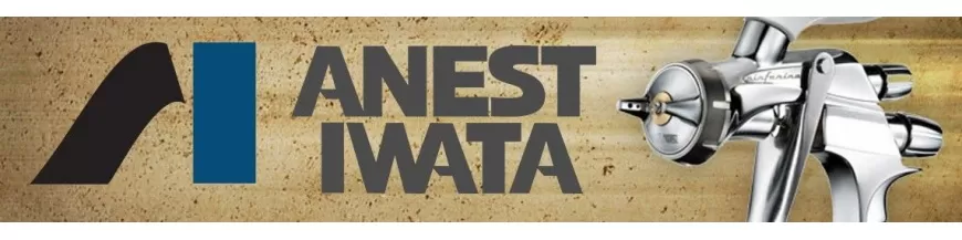 Pistole Anest Iwata